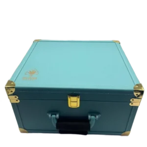 Ace Disposable Master Box