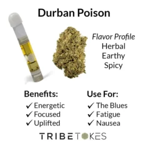 Durban Poison Strain