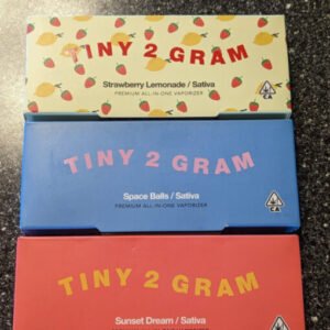 2G Tiny Disposable Vape