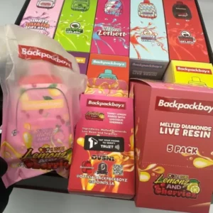 Backpackboyz 2G Disposable
